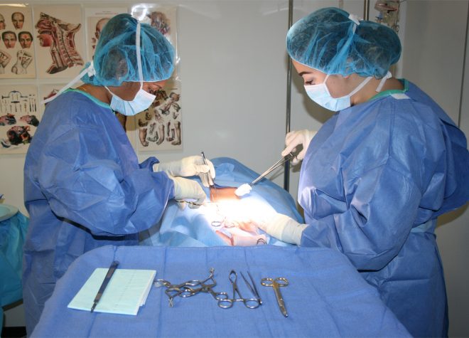 surgical tech on the job training